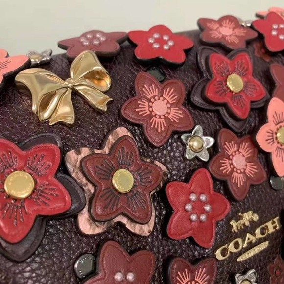 Coach C2176 Ellen Crossbody With Daisy - Picture 4 of 8